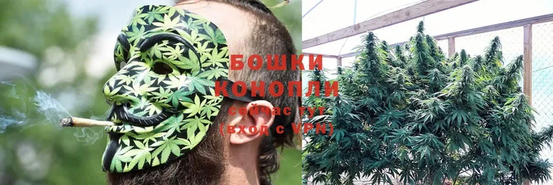 Шишки марихуана LSD WEED  как найти   Болхов 